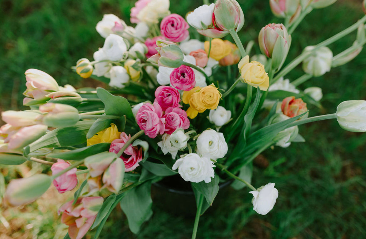 Bi-Weekly Bouquet